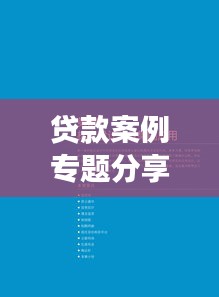 贷款案例专题分享，成功之路、挑战应对解析