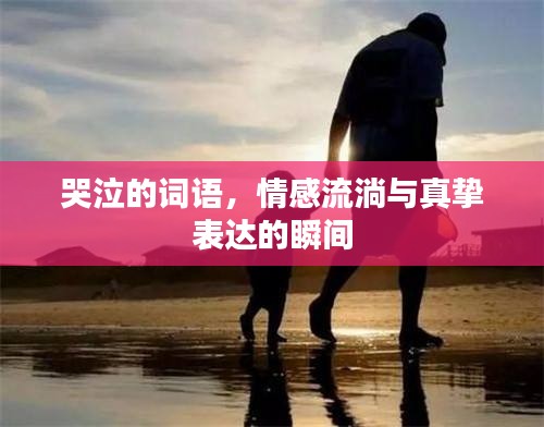 哭泣的词语，情感流淌与真挚表达的瞬间