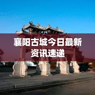 鸟惊鱼骇 第2页