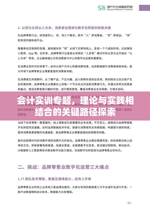 会计实训专题，理论与实践相结合的关键路径探索