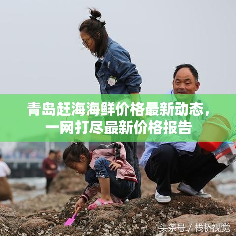 展翅高飞 第3页