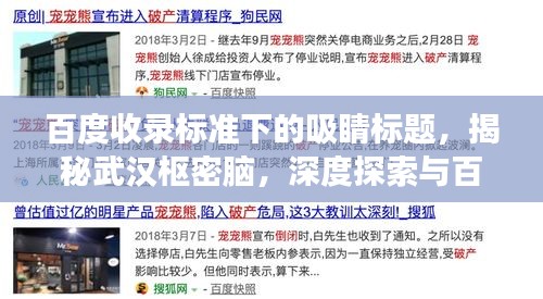 百度收录标准下的吸睛标题，揭秘武汉枢密脑，深度探索与百度启示之旅