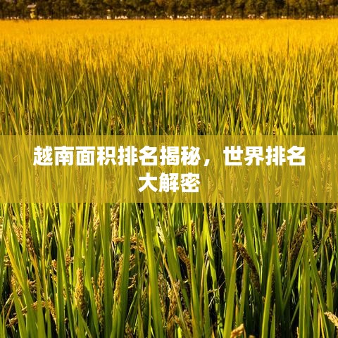 越南面积排名揭秘，世界排名大解密