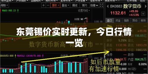 东莞锡价实时更新，今日行情一览