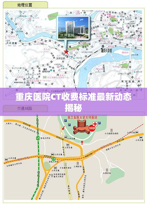 洵属可贵 第2页