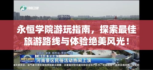 百鸟齐鸣 第4页