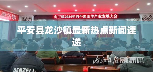 平安县龙沙镇最新热点新闻速递