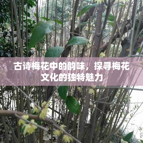 飞红滴翠 第2页