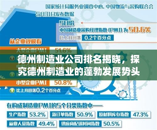 德州制造业公司排名揭晓，探究德州制造业的蓬勃发展势头