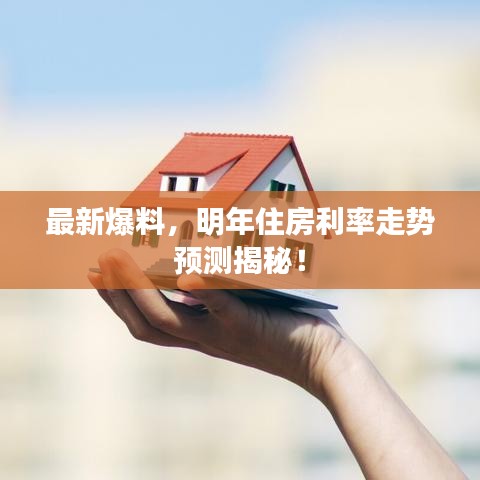 最新爆料，明年住房利率走势预测揭秘！