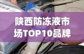 陕西防冻液市场TOP10品牌深度解析