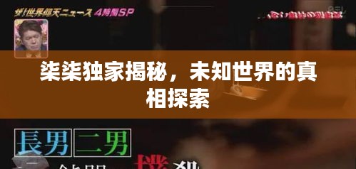 柒柒独家揭秘，未知世界的真相探索