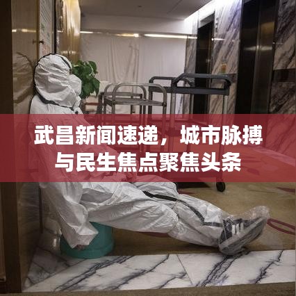 武昌新闻速递，城市脉搏与民生焦点聚焦头条