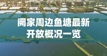 阙家周边鱼塘最新开放概况一览