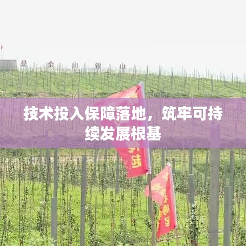 技术投入保障落地，筑牢可持续发展根基