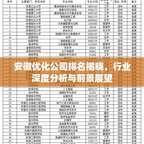 安徽优化公司排名揭晓，行业深度分析与前景展望