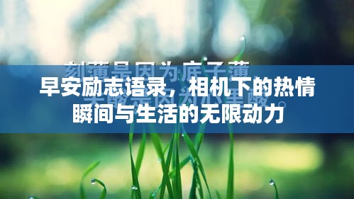 早安励志语录，相机下的热情瞬间与生活的无限动力