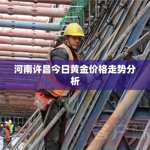 纲挈目张 第2页