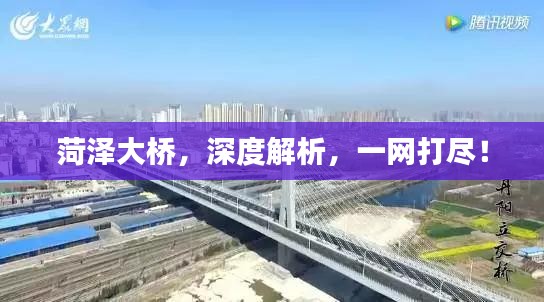 菏泽大桥，深度解析，一网打尽！