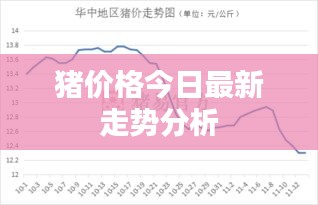 猪价格今日最新走势分析