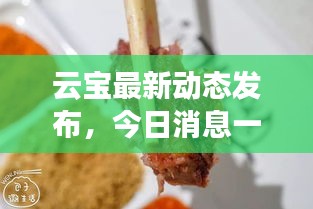 云宝最新动态发布，今日消息一网打尽！