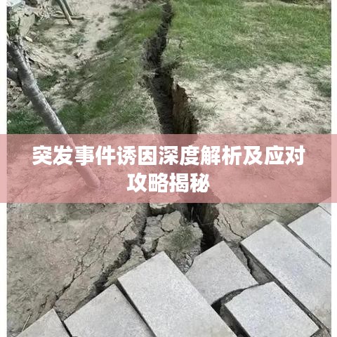 突发事件诱因深度解析及应对攻略揭秘