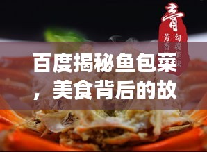 百度揭秘鱼包菜，美食背后的故事与文化传承