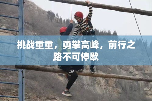 鸟为食亡 第2页