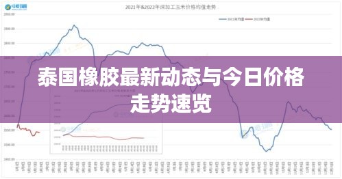 泰国橡胶最新动态与今日价格走势速览