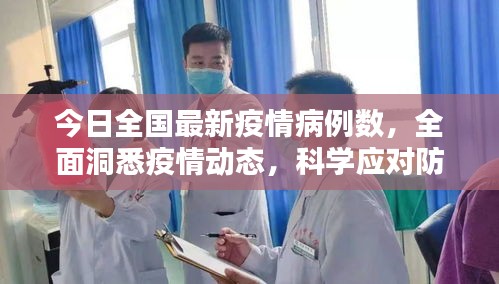 择善而从 第2页