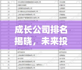 成长公司排名揭晓，未来投资潜力股全解析