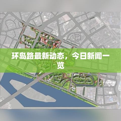 环岛路最新动态，今日新闻一览