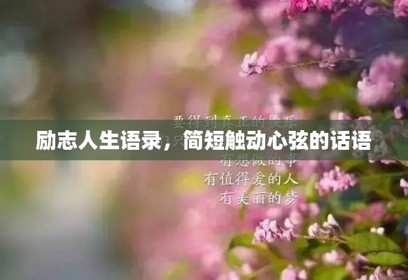 沉厚寡言 第2页