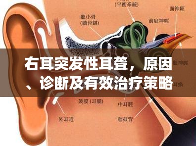 硕果仅存 第2页