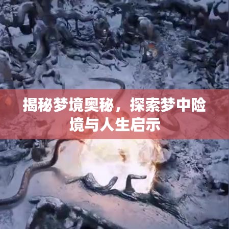 揭秘梦境奥秘，探索梦中险境与人生启示