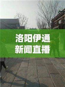 洛阳伊通新闻直播，古都新貌尽收眼底