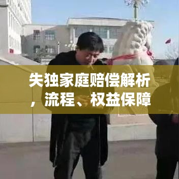 失独家庭赔偿解析，流程、权益保障与赔偿获取之道