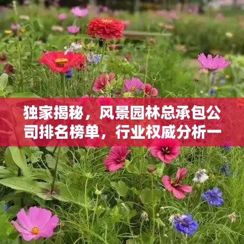 独家揭秘，风景园林总承包公司排名榜单，行业权威分析一网打尽！