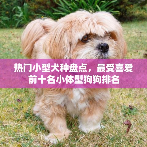 鸢飞戾天 第2页