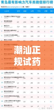 潮汕正规试药公司排名揭秘，行业地位与影响力评估
