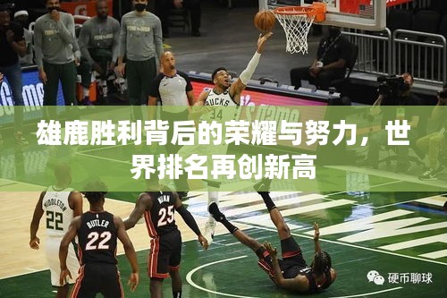 雄鹿胜利背后的荣耀与努力，世界排名再创新高