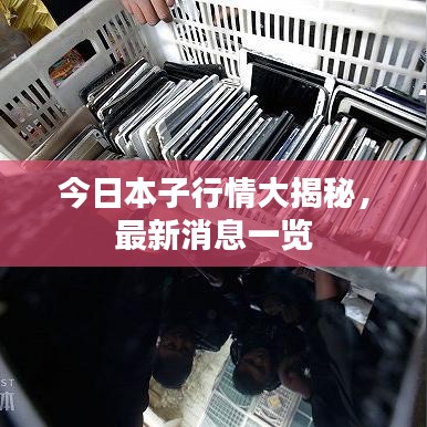 今日本子行情大揭秘，最新消息一览