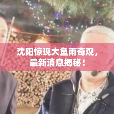 沈阳惊现大鱼雨奇观，最新消息揭秘！