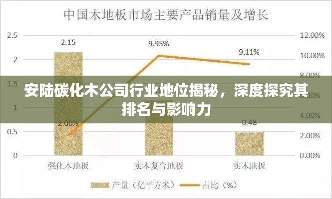 安陆碳化木公司行业地位揭秘，深度探究其排名与影响力