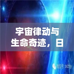 莺啼鸟啭 第2页