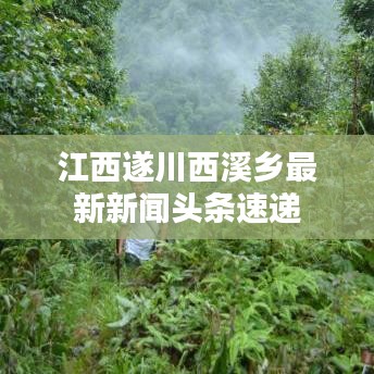 江西遂川西溪乡最新新闻头条速递