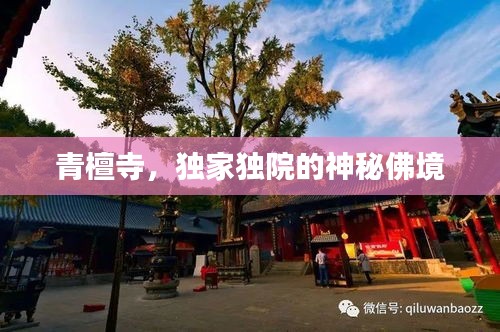 沉灶产蛙 第2页
