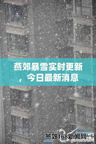 鬼张鬼智 第2页