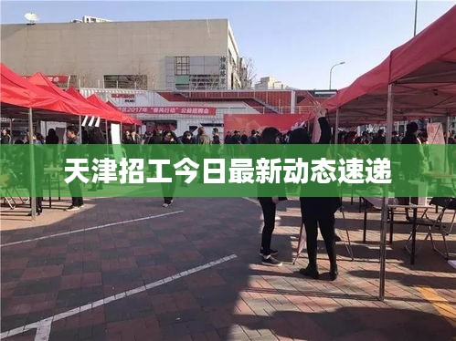 天津招工今日最新动态速递