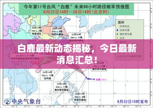 白鹿最新动态揭秘，今日最新消息汇总！